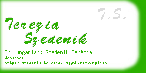 terezia szedenik business card